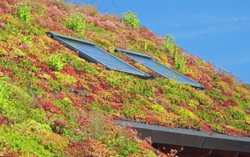 Ashover Hay living roof systems